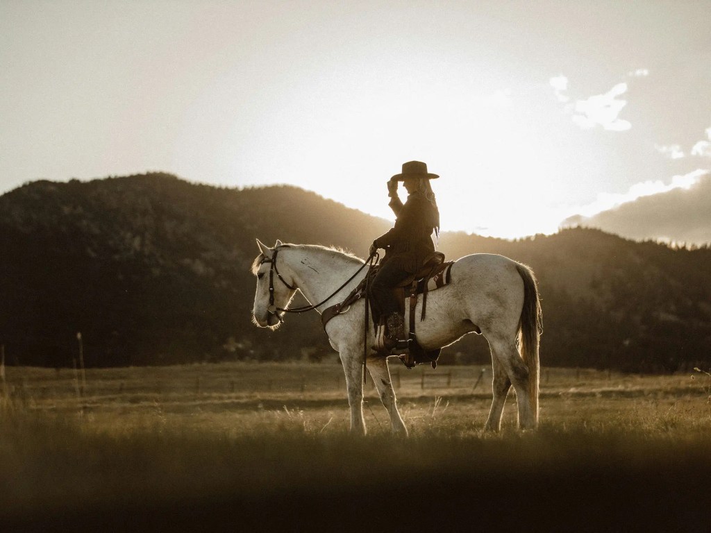 Starke Western-Serien, die Nervenkitzel bieten – Revolverhelden, Rache und rauer Staub