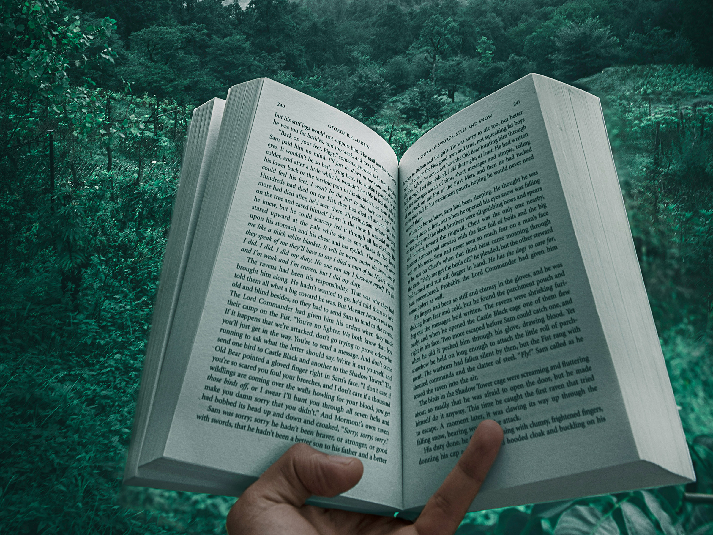 Was sind LitRPGs? Genre im Fokus